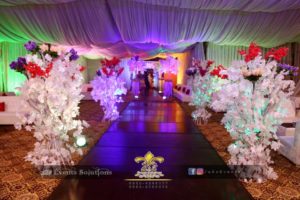 hall decor, decorators, walkway decor, wedding designers