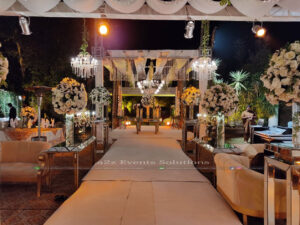 classy event, carpeted walkway