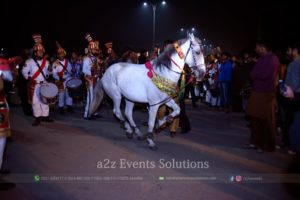 horse service providers in lahore, dancing horses , horses for wedding entrance